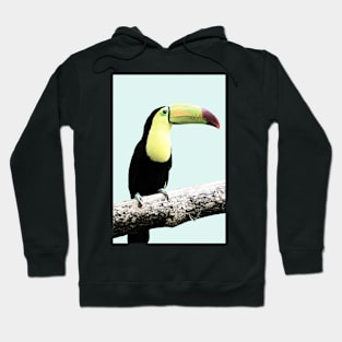 Parrot, Parrot on blue, Tropical bird, Minimal Hoodie